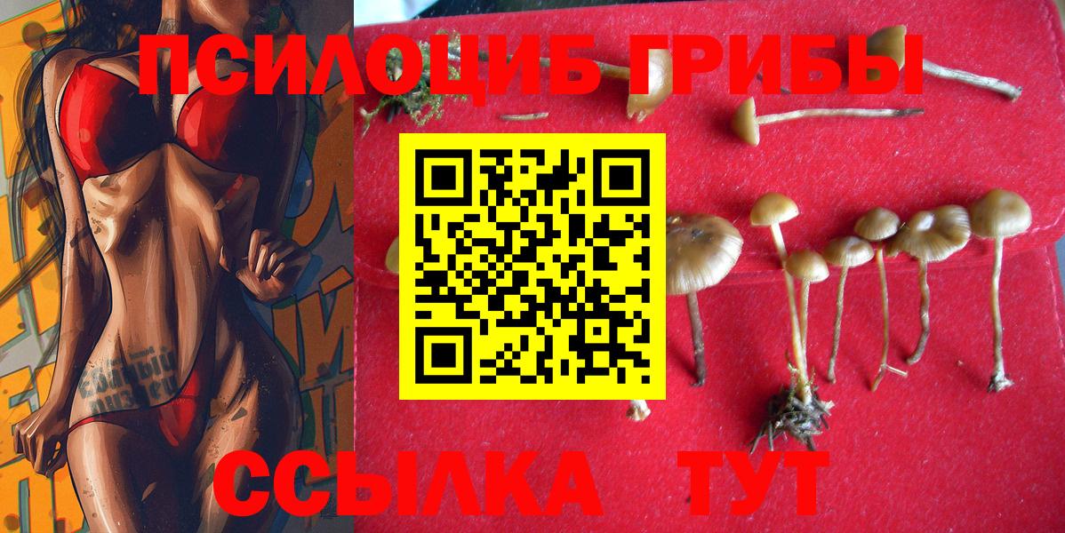 Псилоцибиновые грибы MAGIC MUSHROOMS  Вход с VPN  Вичуга 