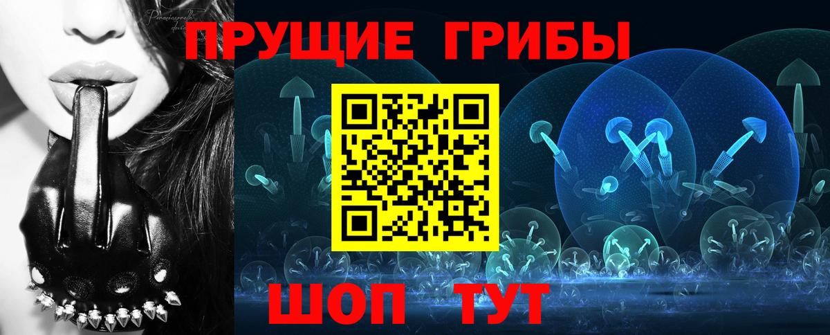 Псилоцибиновые грибы Cubensis Вичуга